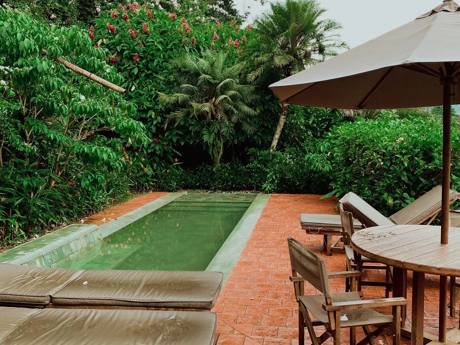 Garden-set plunge pool