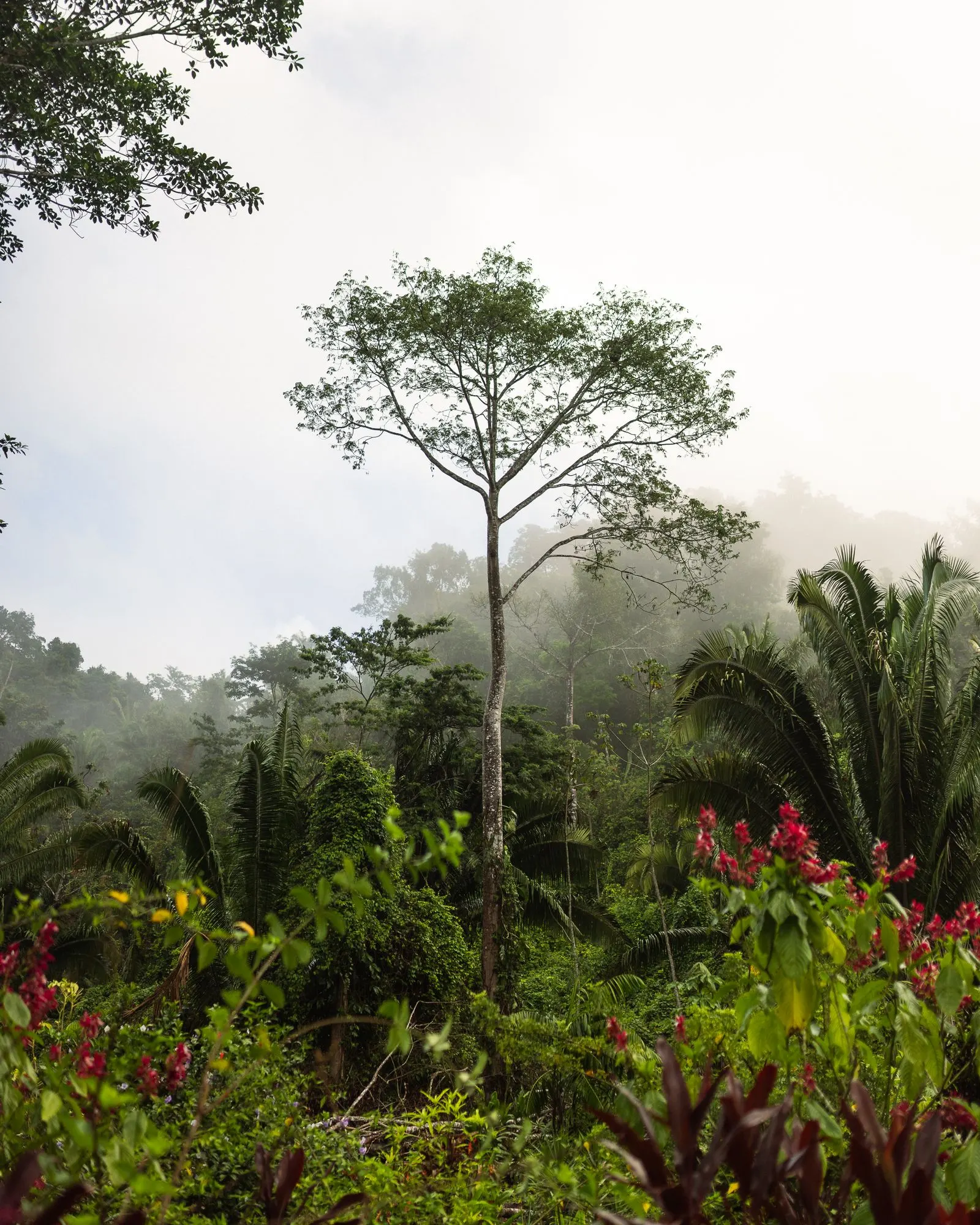Kintamani Highland Retreat