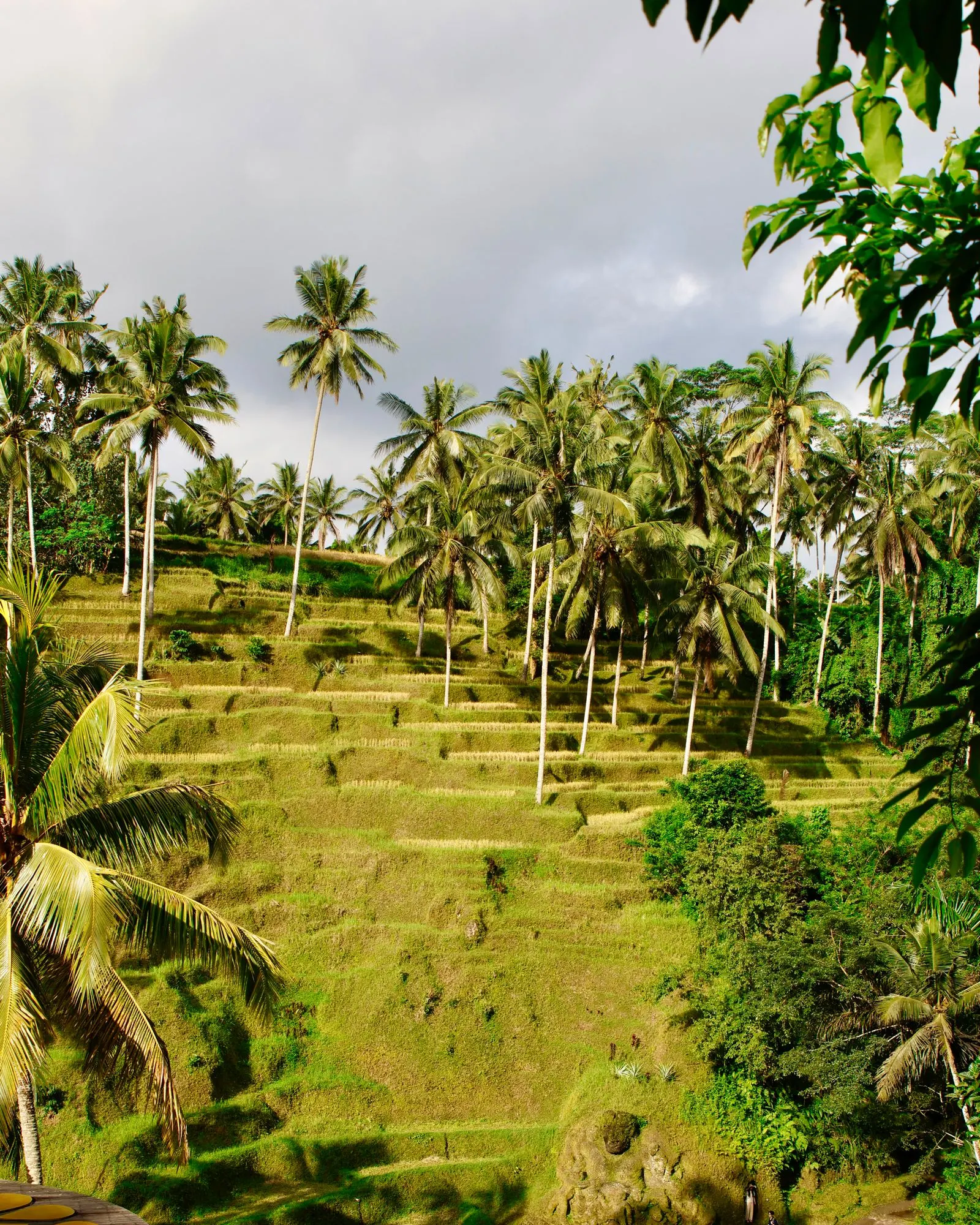 Kintamani Highland Retreat